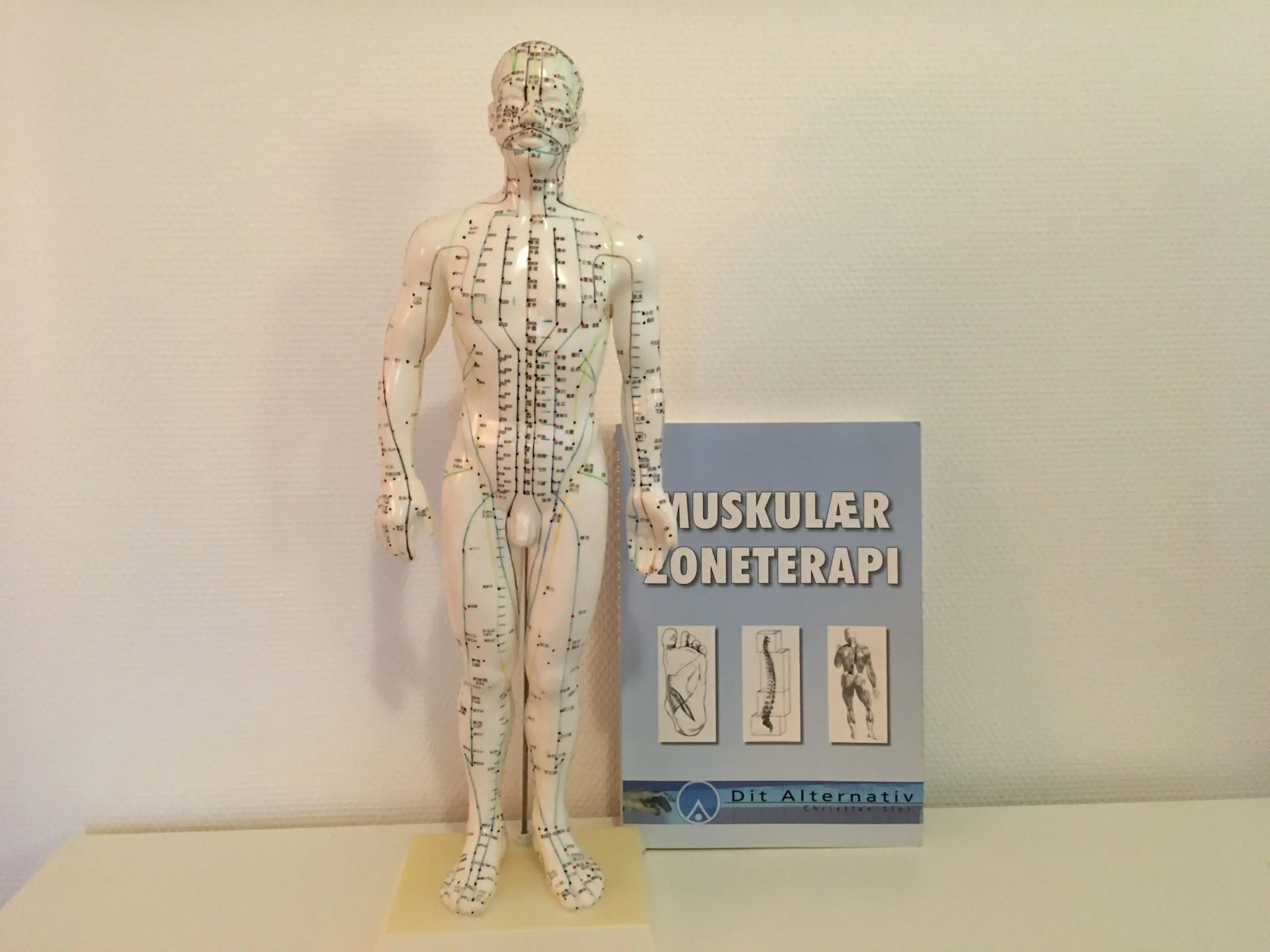Klinikken hos Agerzone